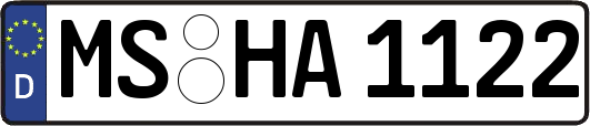 MS-HA1122