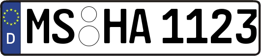 MS-HA1123