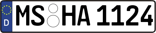 MS-HA1124