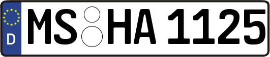 MS-HA1125