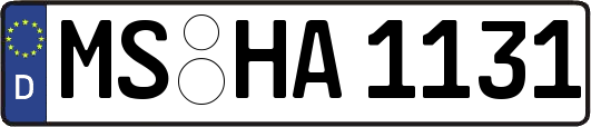 MS-HA1131