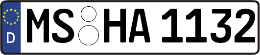 MS-HA1132