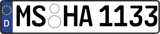 MS-HA1133