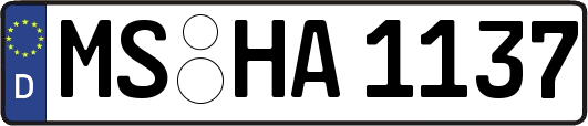 MS-HA1137