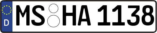 MS-HA1138