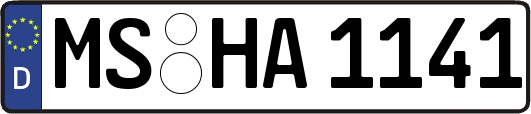 MS-HA1141