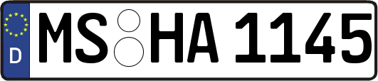 MS-HA1145