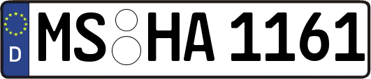 MS-HA1161