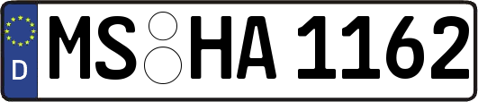 MS-HA1162