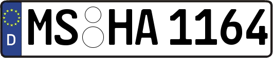 MS-HA1164