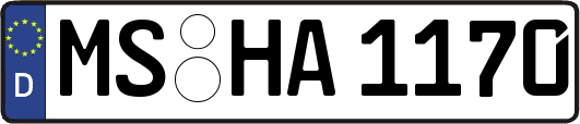 MS-HA1170