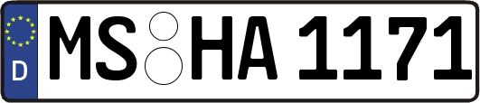 MS-HA1171