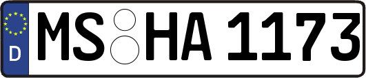 MS-HA1173