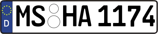 MS-HA1174