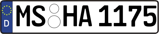 MS-HA1175
