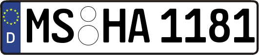 MS-HA1181