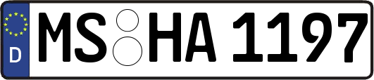 MS-HA1197