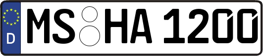 MS-HA1200