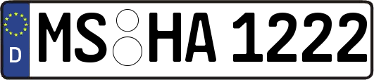 MS-HA1222