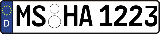 MS-HA1223