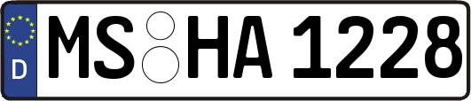 MS-HA1228