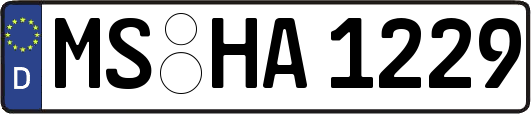 MS-HA1229