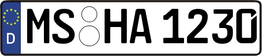 MS-HA1230
