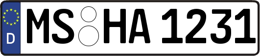 MS-HA1231