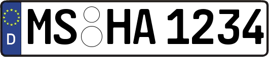 MS-HA1234
