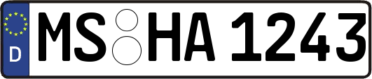 MS-HA1243