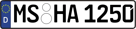 MS-HA1250
