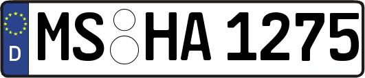 MS-HA1275