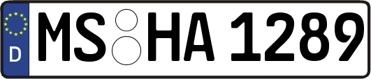 MS-HA1289