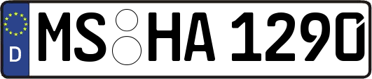 MS-HA1290