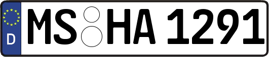 MS-HA1291