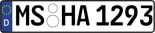 MS-HA1293