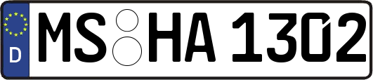 MS-HA1302