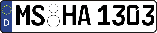 MS-HA1303