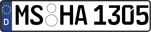 MS-HA1305