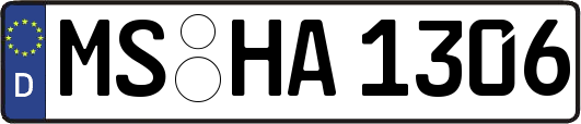 MS-HA1306