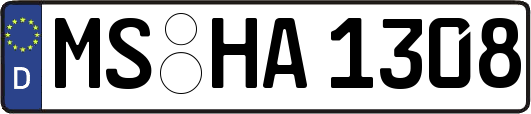 MS-HA1308