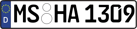 MS-HA1309
