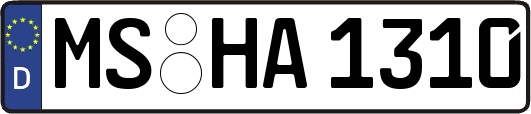 MS-HA1310