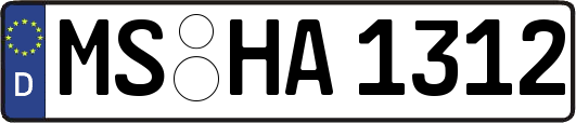 MS-HA1312