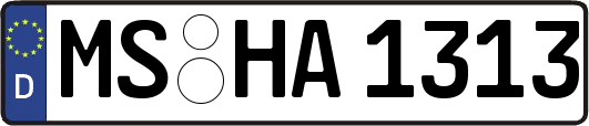 MS-HA1313