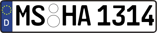MS-HA1314