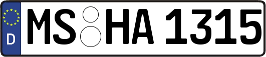 MS-HA1315