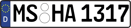 MS-HA1317