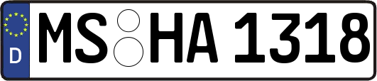 MS-HA1318