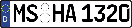 MS-HA1320